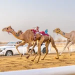 ساسولو يتأهل في كأس إيطاليا عقب انتصاره على فروزينوني بركلات الترجيح